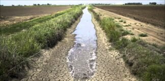 Alerta Conagua por severa sequía en Hidalgo