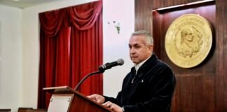 ¿Los retirarán? presidencia municipal detecta 16 árboles infectados