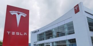 Diputados apoyan la eventual llegada de Tesla a Hidalgo