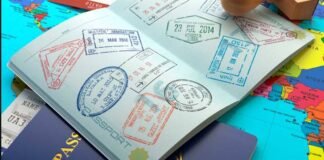 Entra más moneda a México por turismo internacional