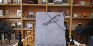 Inicia Ciclo de Poesía en librería Margarita Michelena este viernes
