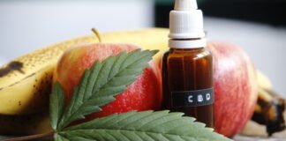 Alimentos derivados del cáñamo: el cannabis en la industria alimenticia