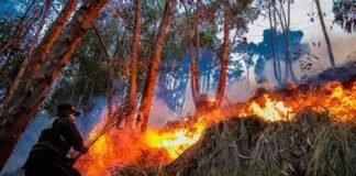 Alertan bomberos de Tulancingo que marzo y abril será muy complejo en materia de incendios forestales