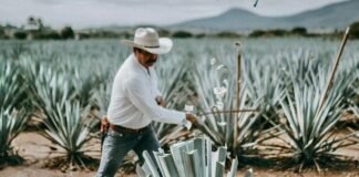 Diputado Otoniel García trabaja para la “Denominación de origen protegida del pulque”