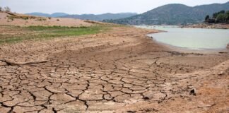 En Hidalgo siete municipios salieron de la categoría de sequía extrema