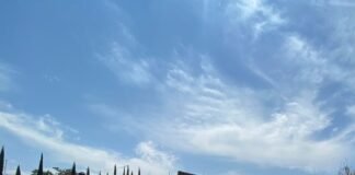 Localizan propiedad donde desvalijaban unidades en Tizayuca