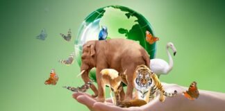 Alianzas en favor de la vida silvestre