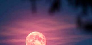 Alístate para disfrutar de la Luna Rosa