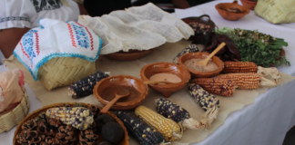 Comienza la 42⁰ Muestra Gastronómica de Santiago de Anaya