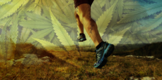 Beneficios y desventajas del uso del cannabis en el deporte