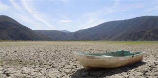 Se seca la Laguna de Metztitlán, miles de tilapias y carpas mueren