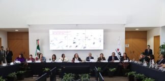 Indiscutible la permanencia de los Organismos Públicos Electorales: Taddei Zavala