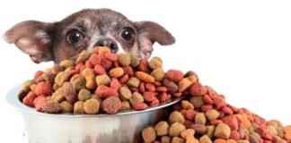 Es más caro comprar alimentos para mascotas que para bebés