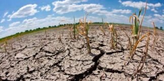 Sufre sector campesino abandono total por parte del gobierno de AMLO: Marko Cortés