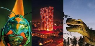 Las mejores actividades culturales y recreativas de Semana Santa en CDMX