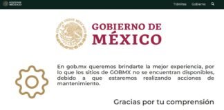 Fallan portales de gobierno federal; descartan hackeo