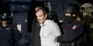 Exhiben a jueces que ordenaron liberación de “El Güero Palma”