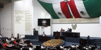 Propone Enciso fortalecer la Ley de Protección y Trato Digno para los Animales