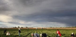 Florida se ‘paraliza’ por ley antinmigrante; se queda sin trabajadores