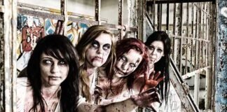 Pandemia Zombie; apocalipsis en Bosque de Aragón ¿Ya sabes cómo llegarle?