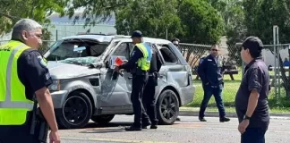 Tragedia Migrante: Al menos 7 muertos y 15 lesionados tras ser arrollados en Texas