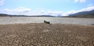 La mitad de los lagos más grandes del mundo están perdiendo agua