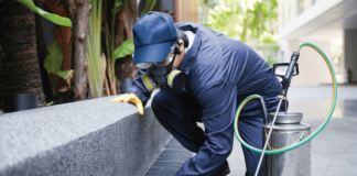 Higiene y prevención, las claves para evitar plagas