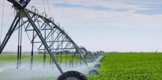 Senado propone extender periodo para trámite de estímulos por suministro de electricidad a agricultores