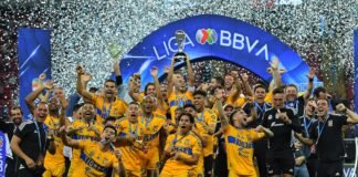 ¡Es campeón de la Liga MX! Tigres remonta a Chivas en el Akron
