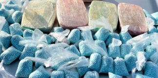 Guardia Nacional ha decomisado 7.5 toneladas de fentalino