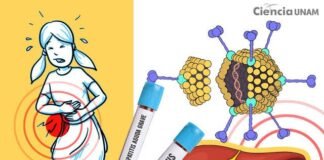 Detectan en Hidalgo 5 casos de Hepatitis Grave Aguda de causa desconocida en niños