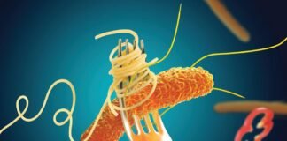 Aumentan enfermedades por calor; alertan autoridades sobre consumo de alimentos en la calle