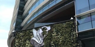 Productores del sector ganadero, sin apoyos del Gobierno Federal