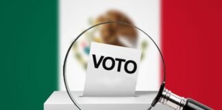 Senador de MC propone reforma para que se haga obligatorio ejercer el voto