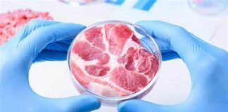 Carne cultivada: Estados Unidos aprueba la primera venta ¿cómo va Latinoamérica?