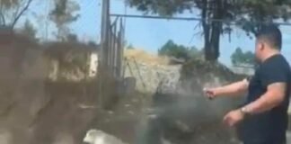 Gobierno de Tlaxcala denuncia penalmente asesinato de un perro