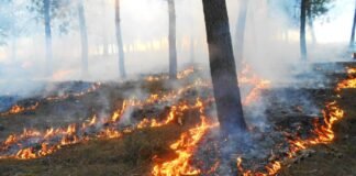 Combaten incendios forestales con ayuda de dos helicópteros en Hidalgo
