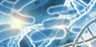 Probióticos, los alimentos funcionales para tener un equilibrio de salud