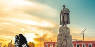 Surge controversia por veracidad de gorila en Villa de Tezontepec