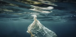Voluntarios recogen 1.3 millones de envases de comida en los mares