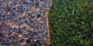 Degradación ambiental resulta en pérdidas anuales de 75 mil millones de dólares