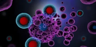 Modelo matemático promete impulsar la tasa de éxito de la inmunoterapia