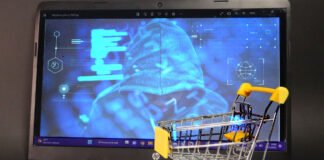 STP alerta sobre el aumento de fraudes cibernéticos en México