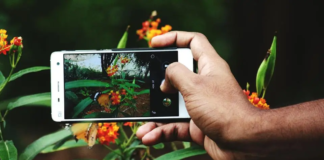 SSH impulsa plataforma digital para identificar especies de riesgo para la salud