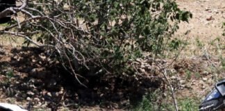 Ataque con explosivos en Jalisco deja 6 muertos y 14 heridos