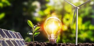 Puntos clave para entender por qué es importante invertir en energías limpias