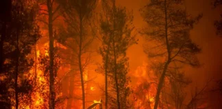 Infierno en Grecia; evacúan a miles de personas por incendio en isla de Rodas