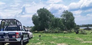 Hallan cuerpo de mujer que era devorado por la fauna en Tizayuca