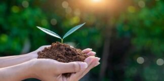 Hikvision reafirma su compromiso con el medio ambiente