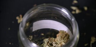 Ohio buscará colocar la legalización de cannabis como tema en la boleta electoral